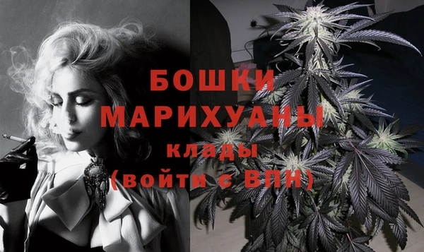 шишки Богородск