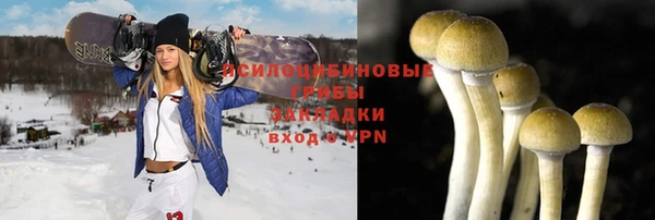 шишки Богородск