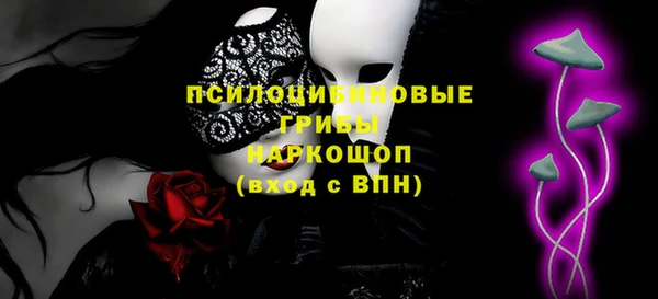 шишки Богородск