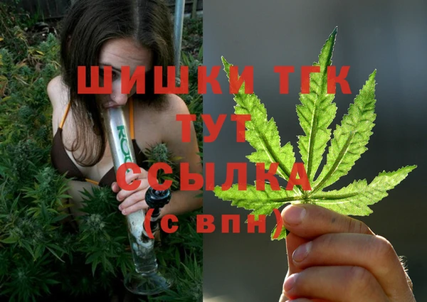 ешки Богородицк