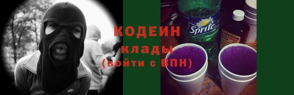 шишки Богородск
