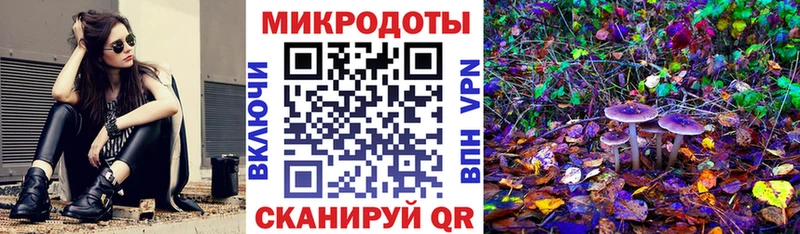 Псилоцибиновые грибы GOLDEN TEACHER Киселёвск