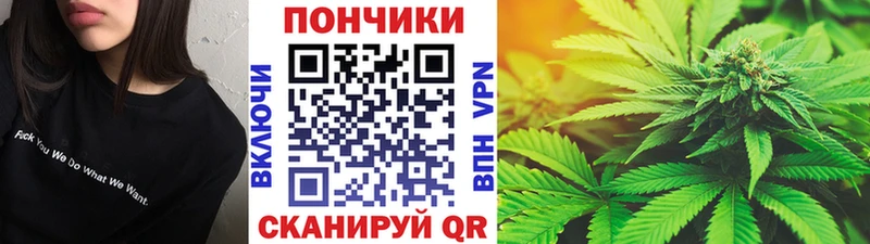 OMG онион  Киселёвск  Бошки марихуана гибрид 